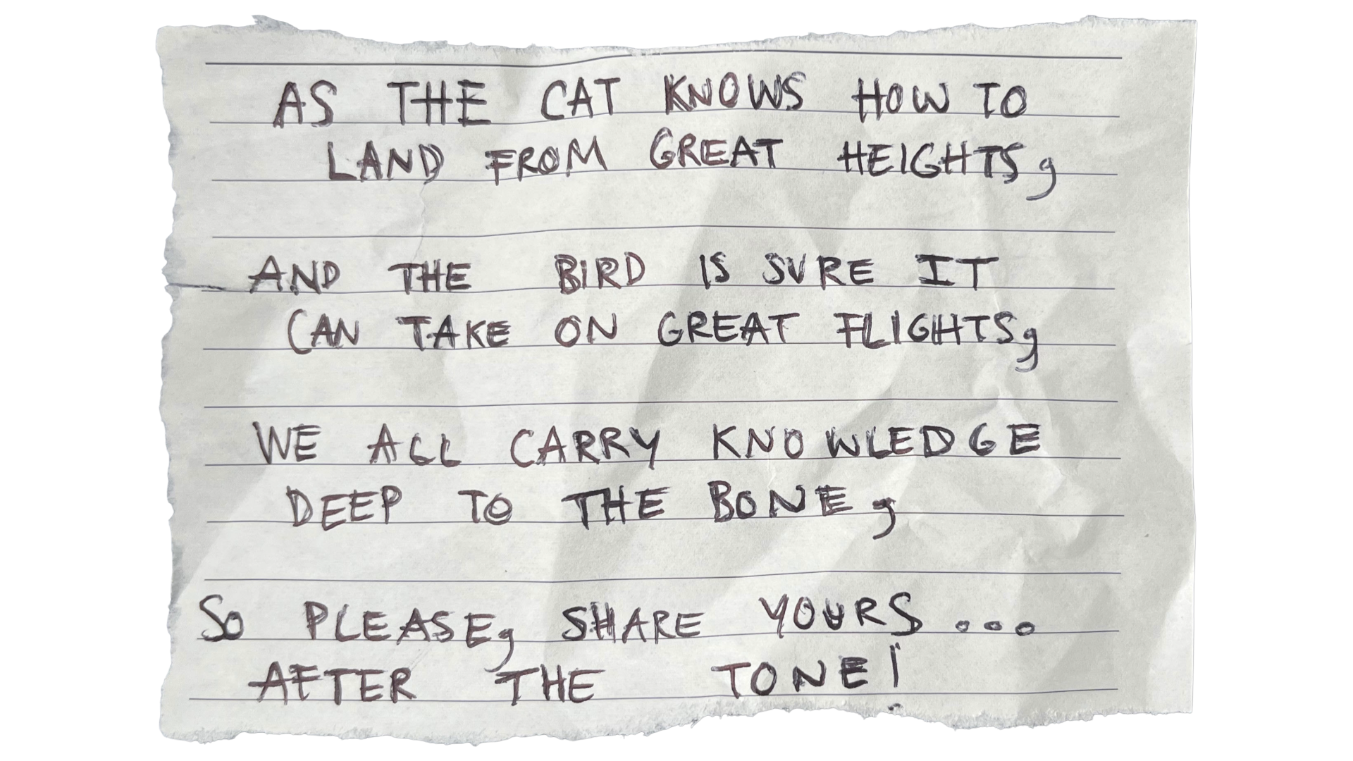 As the cat knows how to land from great heights, and the bird is sure it can take on great flights, we all carry knowledge deep to the bone, so please, share yours after the tone!